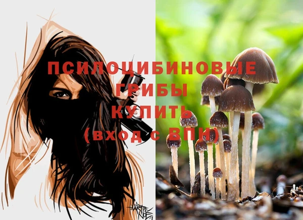 соль ск Алзамай