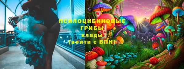 стафф Аркадак